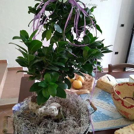 Dandana Inn Orgosolo