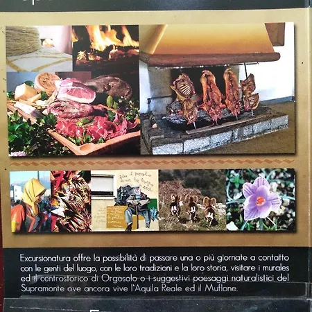 Dandana Inn *