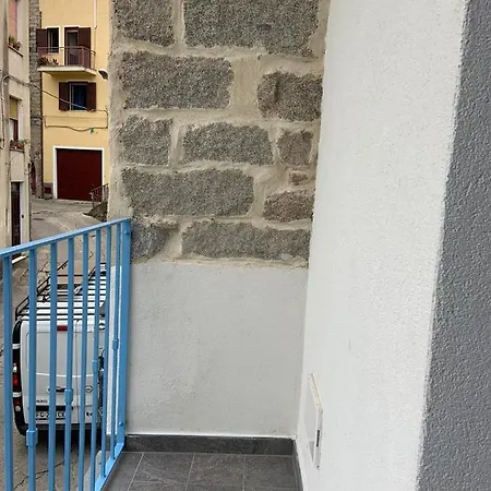 Dandana אורחן *
