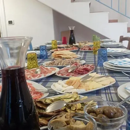 אורחן Dandana
