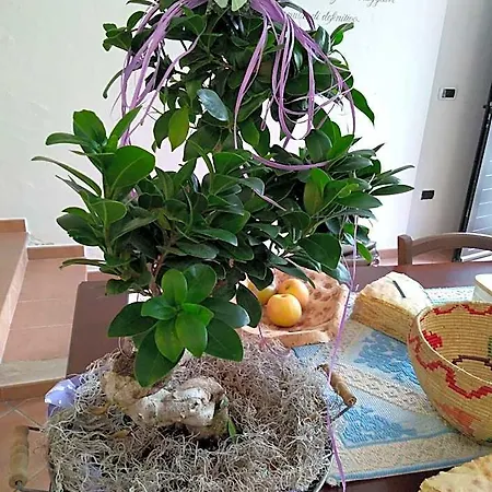 Locanda Dandana *