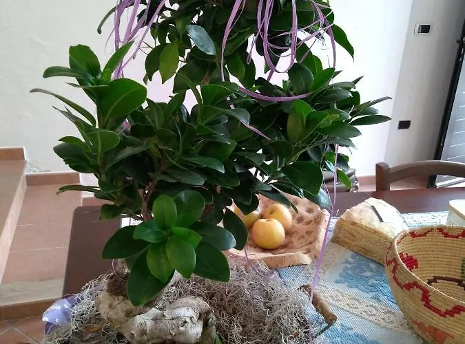 Dandana بيت ريفي أورغوسولو